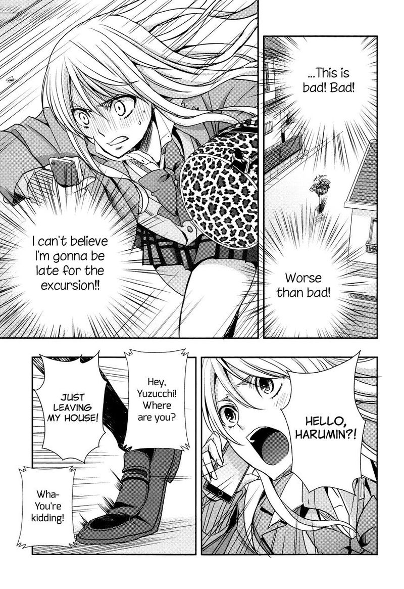Citrus Saburouta 13 18