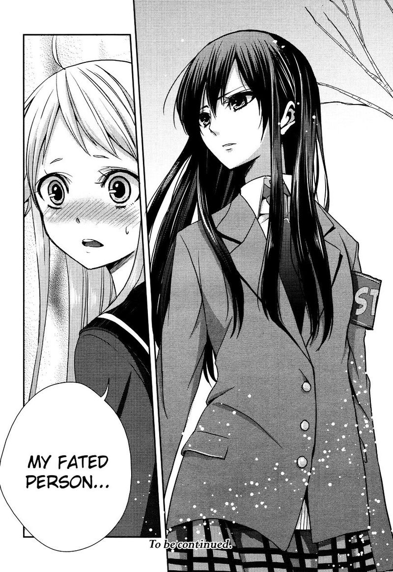 Citrus Saburouta 13 36