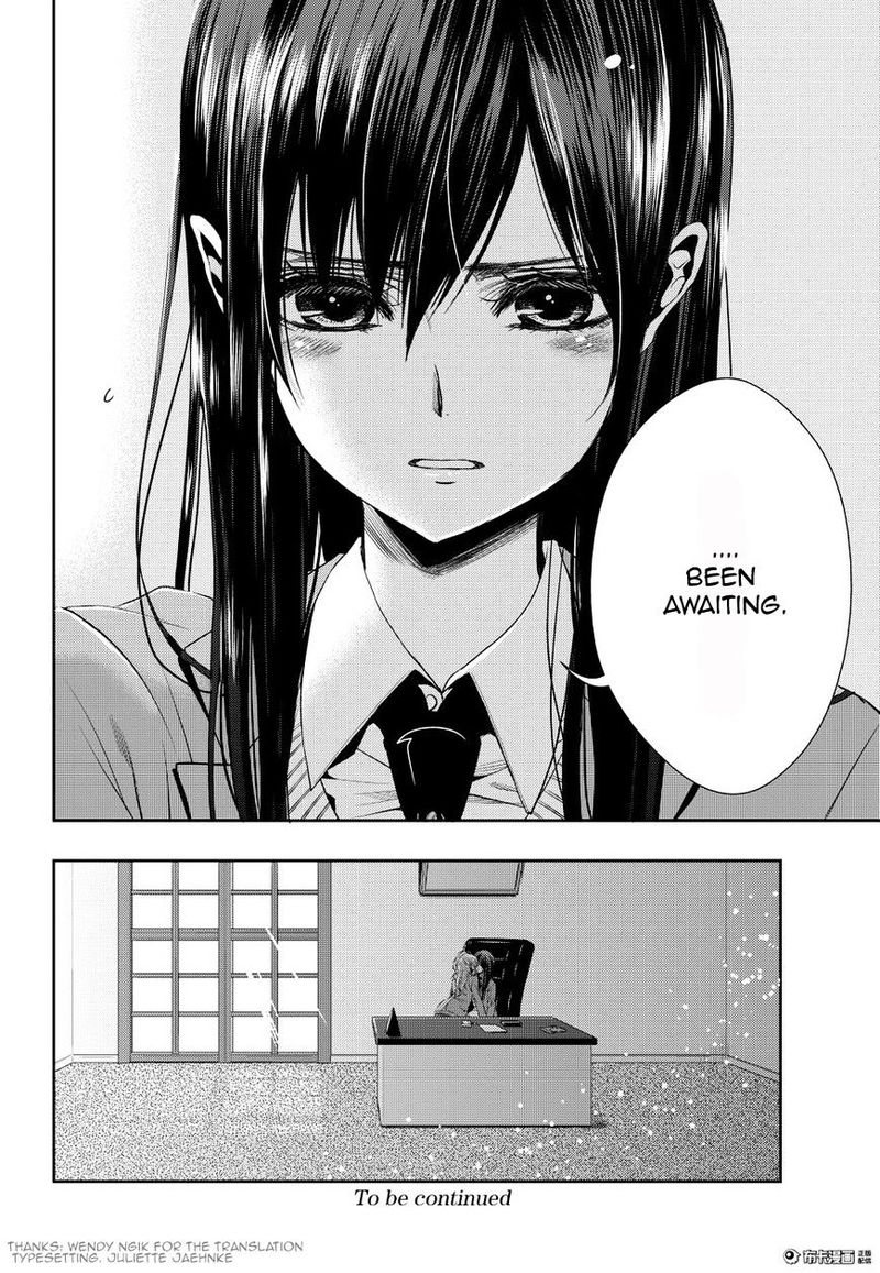 Citrus Saburouta 20 40