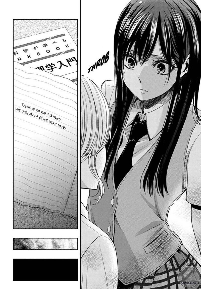 Citrus Saburouta 24 29