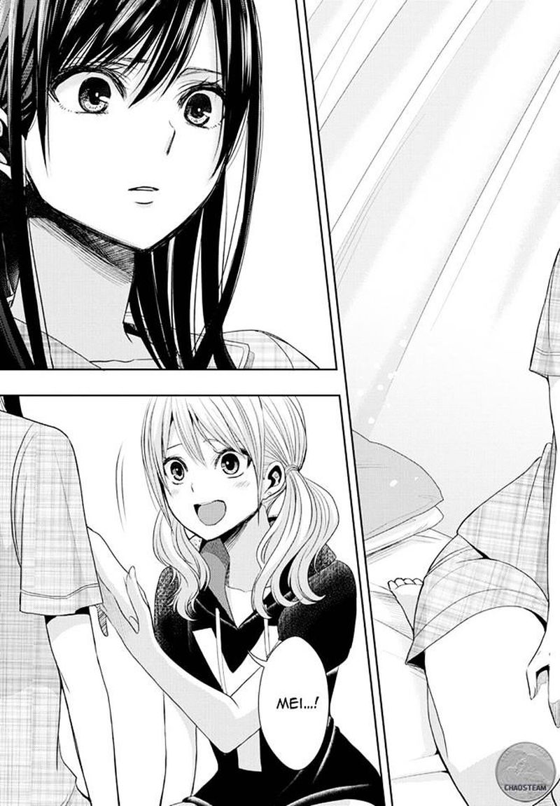 Citrus Saburouta 24 35