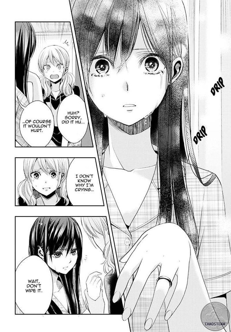 Citrus Saburouta 24 37