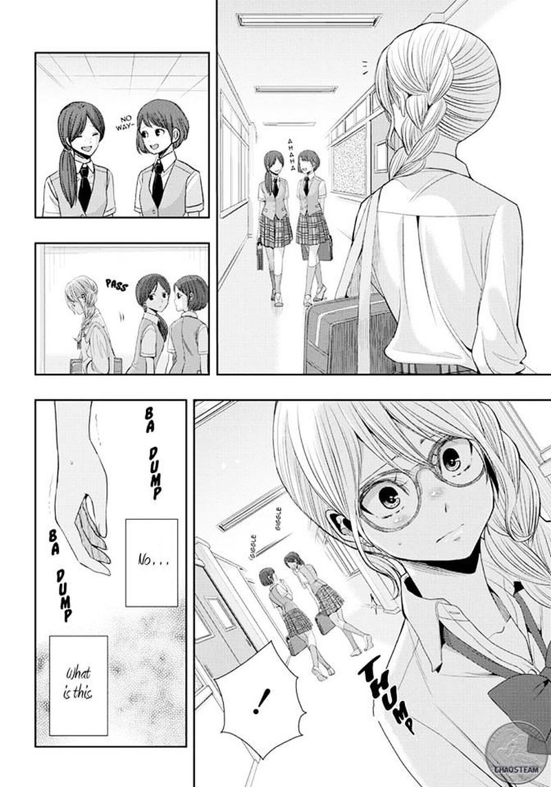 Citrus Saburouta 24 8