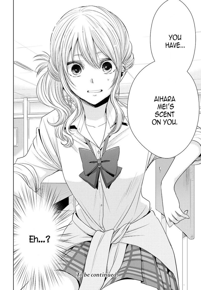 Citrus Saburouta 25 36