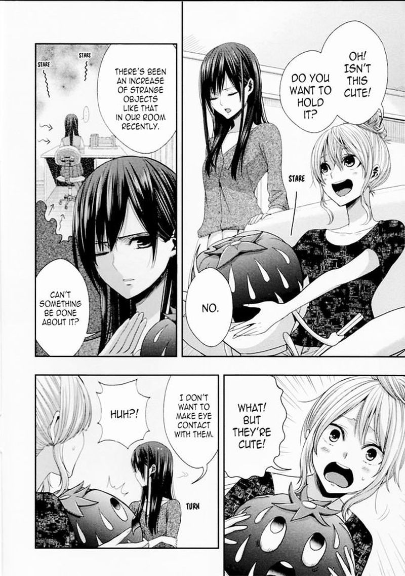 Citrus Saburouta 29 40