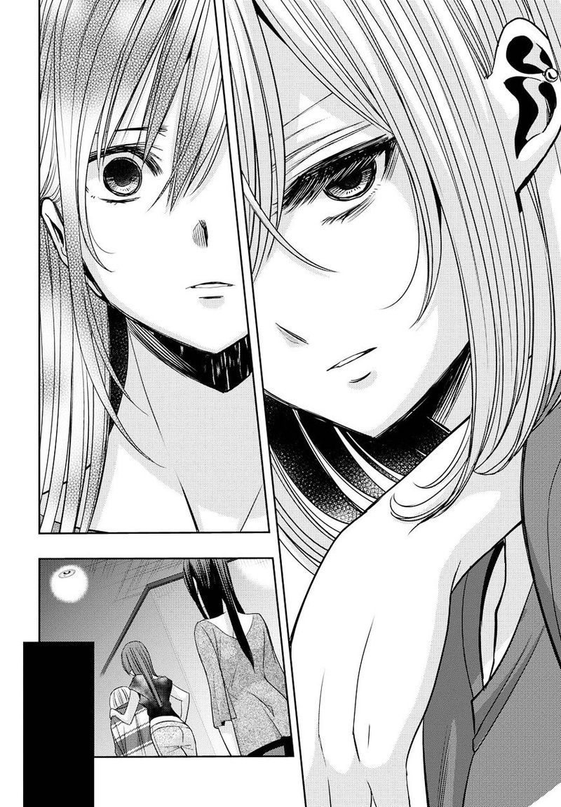 Citrus Saburouta 33 16