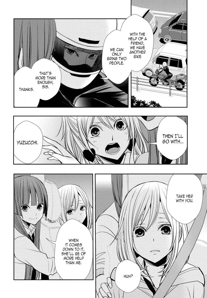 Citrus Saburouta 40 26