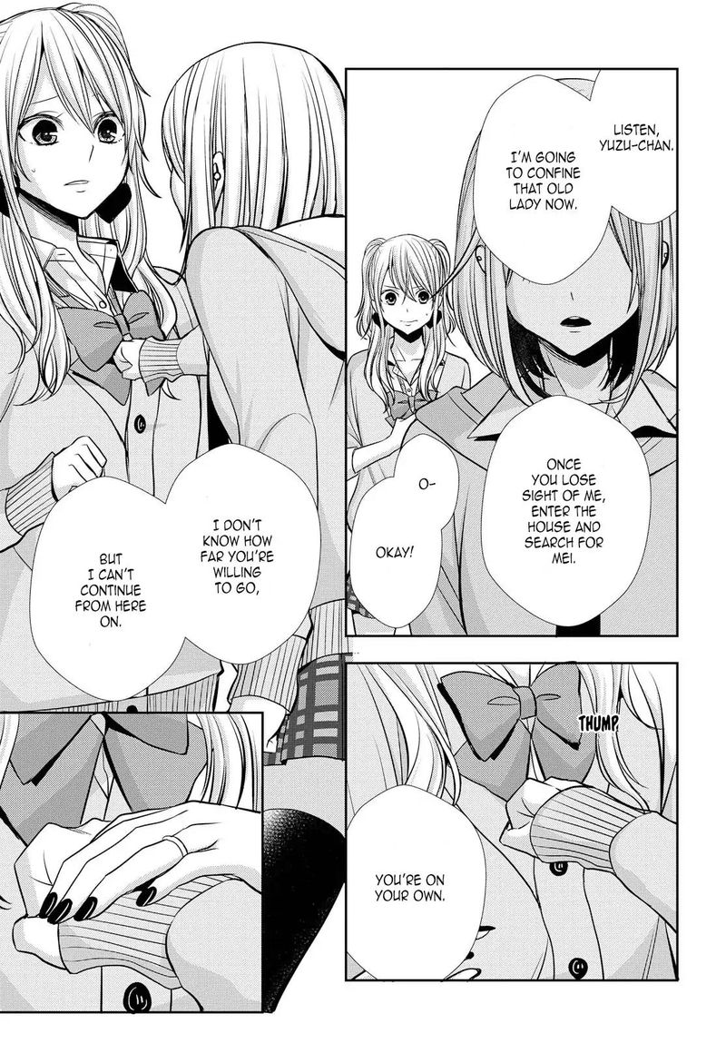 Citrus Saburouta 40 33