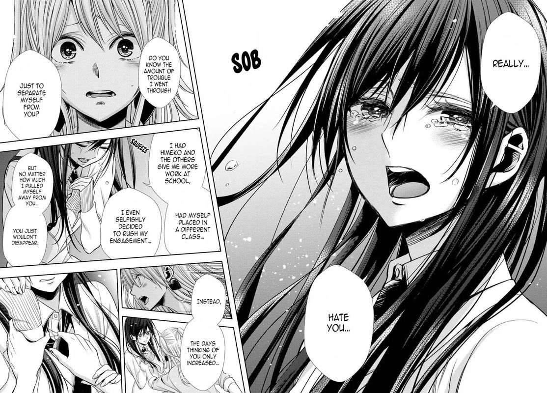 Citrus Saburouta 41 14