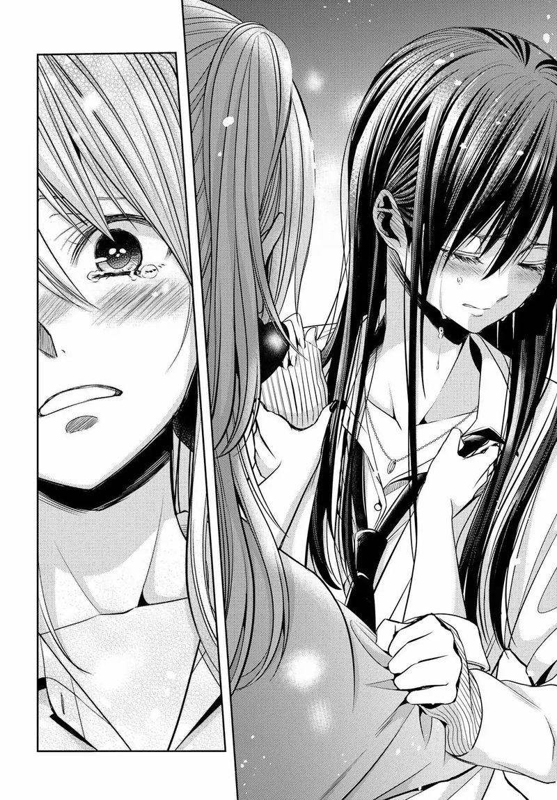 Citrus Saburouta 41 15