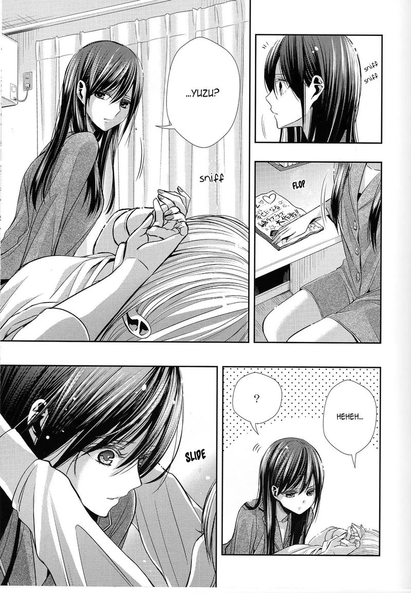 Citrus Saburouta 41 41
