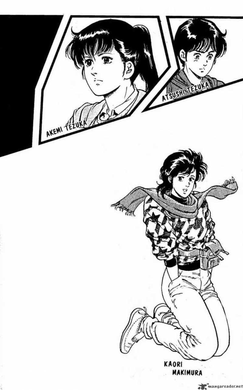 City Hunter 45 4