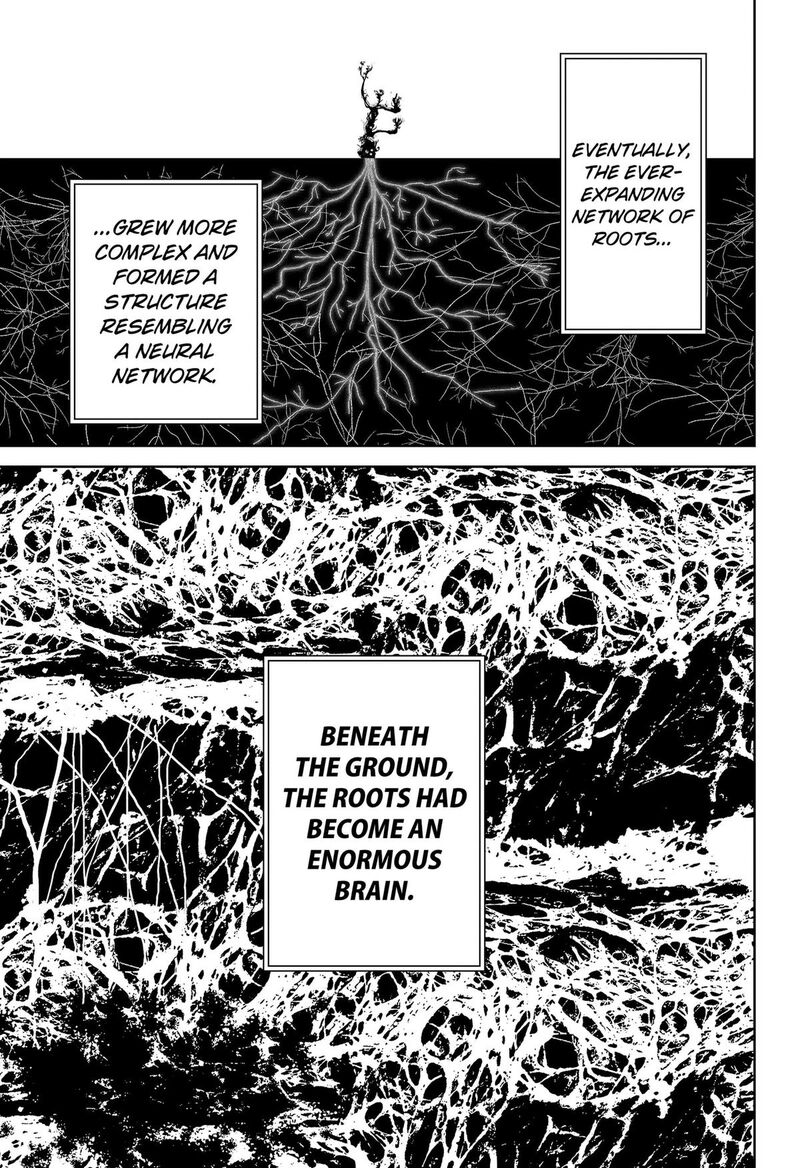 Class Of Brains 29 9