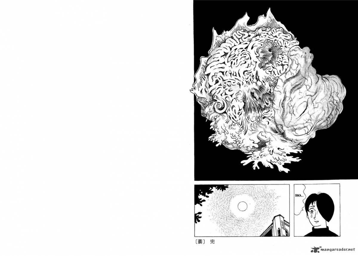 Clockwork Apple 5 8
