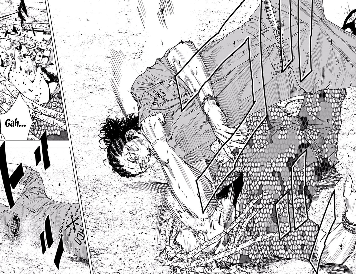 Clover Tetsuhiro Hirakawa 371 7