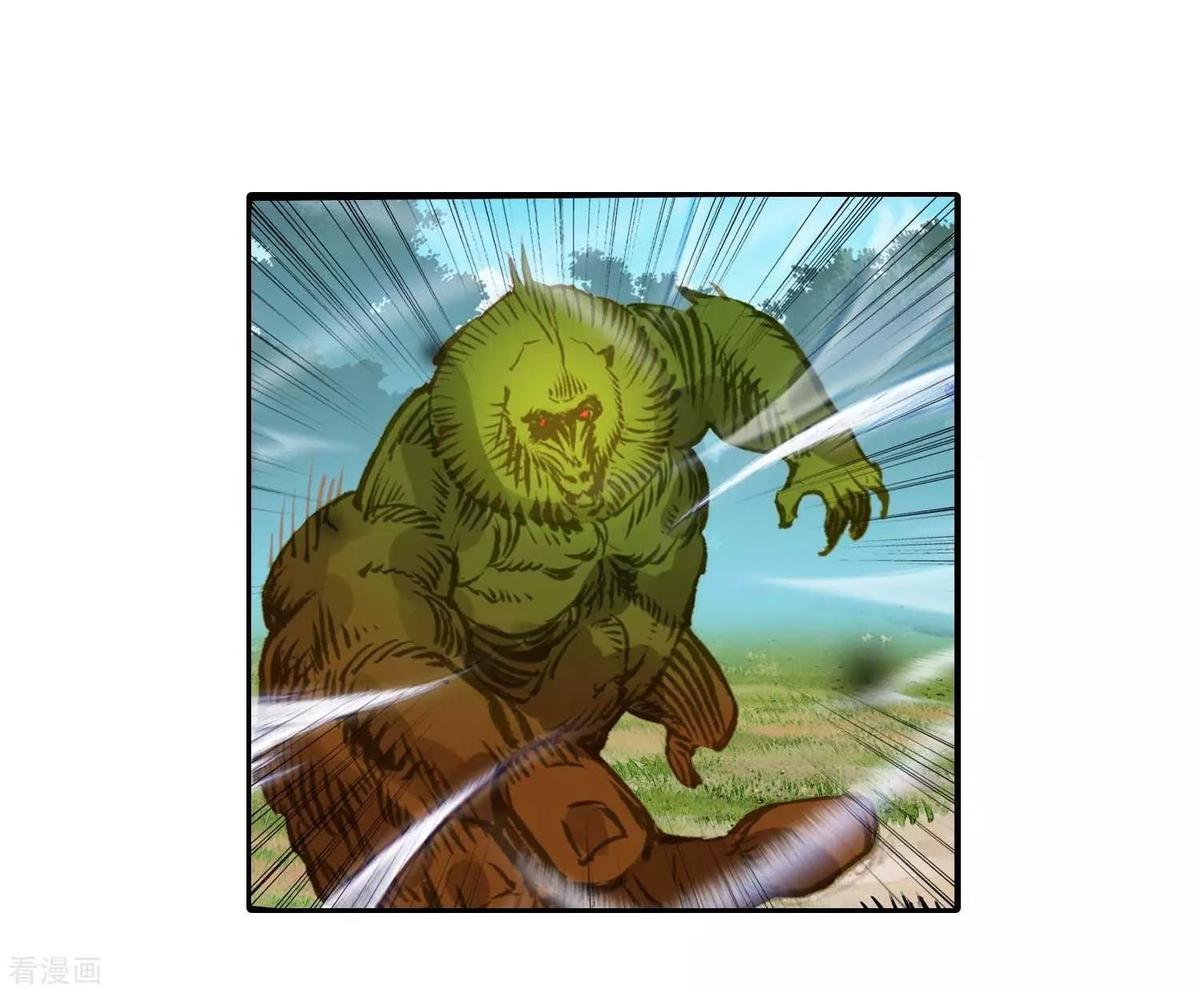 Combat Continent II 212 11