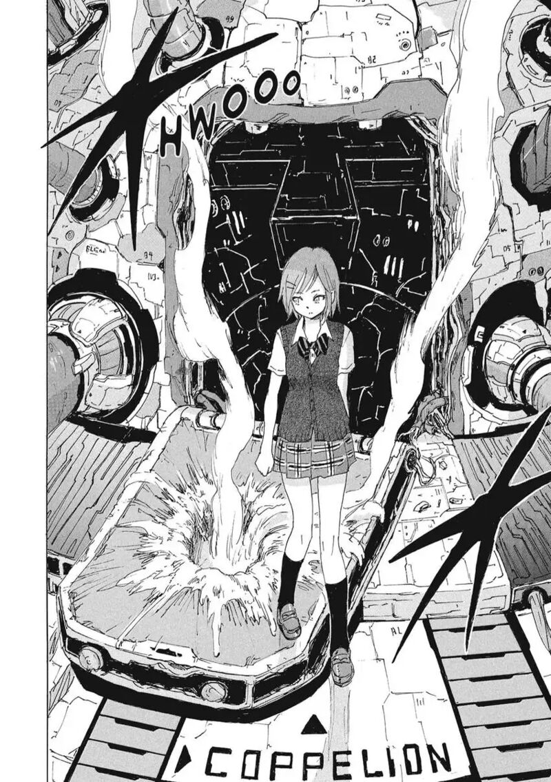 Coppelion 162 10