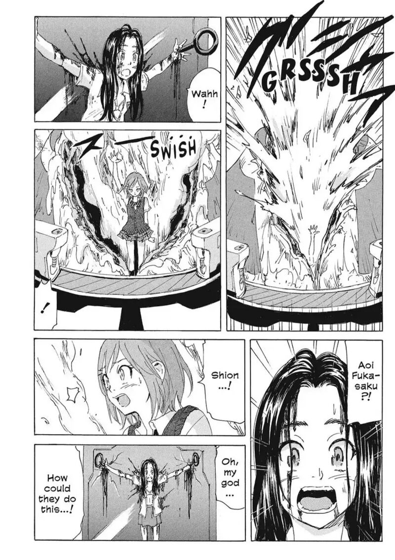 Coppelion 162 16