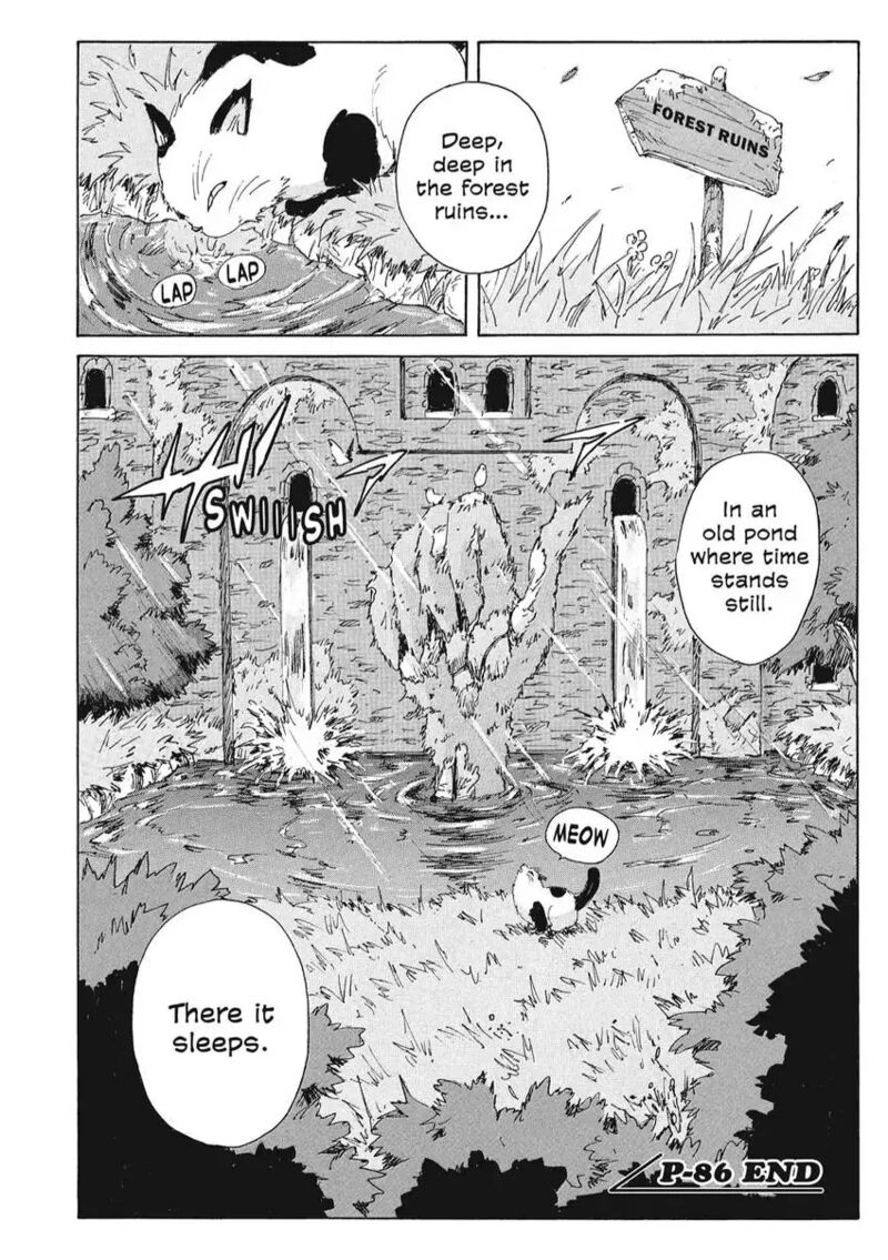 Coppelion 167 18
