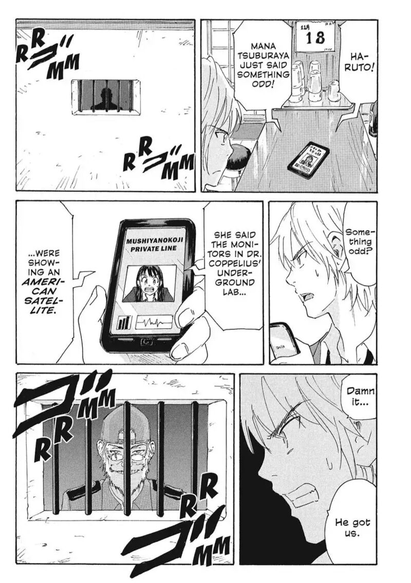 Coppelion 171 17