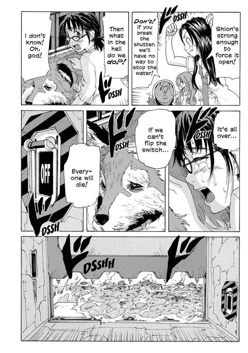 Coppelion 180 18
