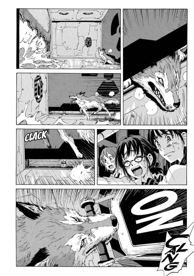 Coppelion 180 20