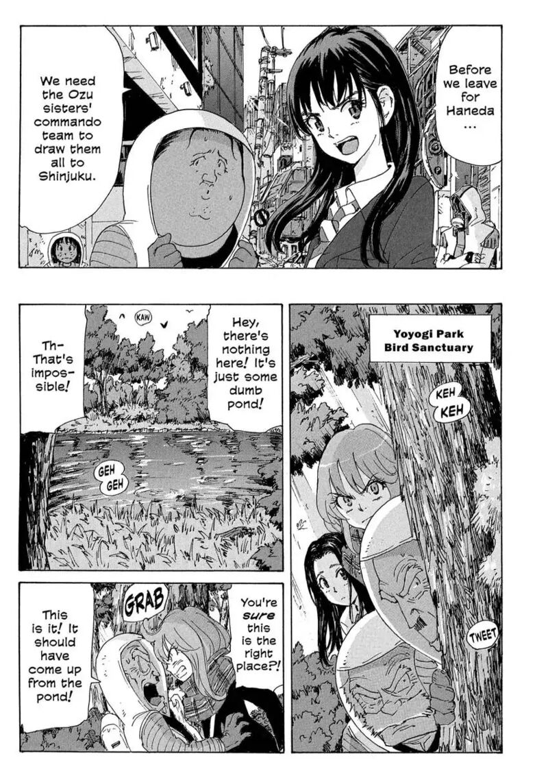 Coppelion 181 19