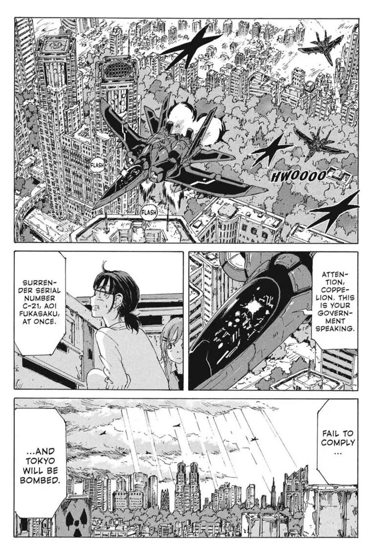Coppelion 183 25