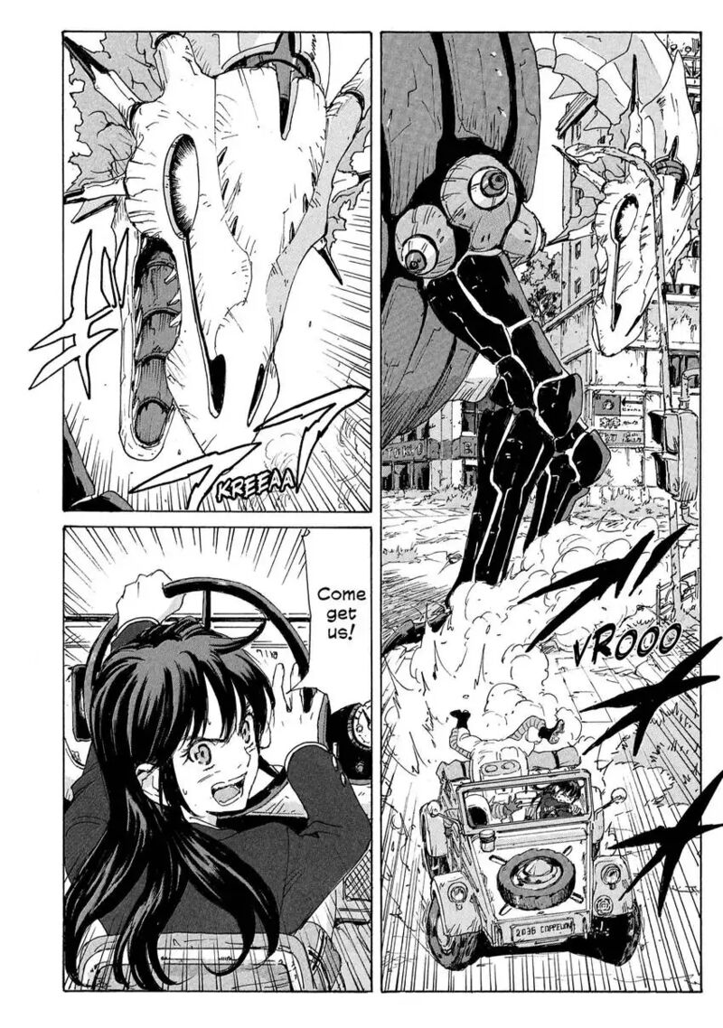 Coppelion 184 6