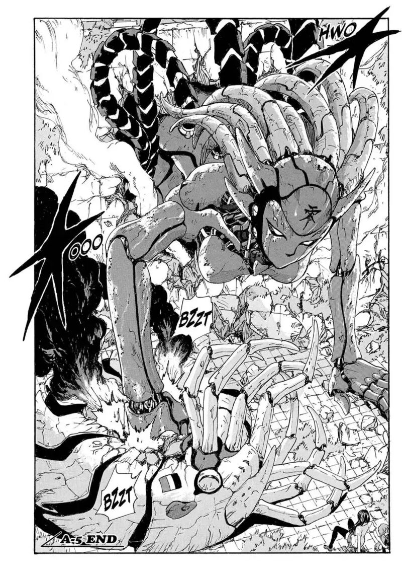 Coppelion 185 34