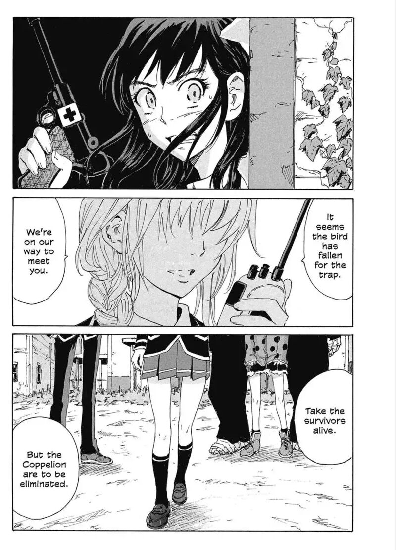 Coppelion 187 41
