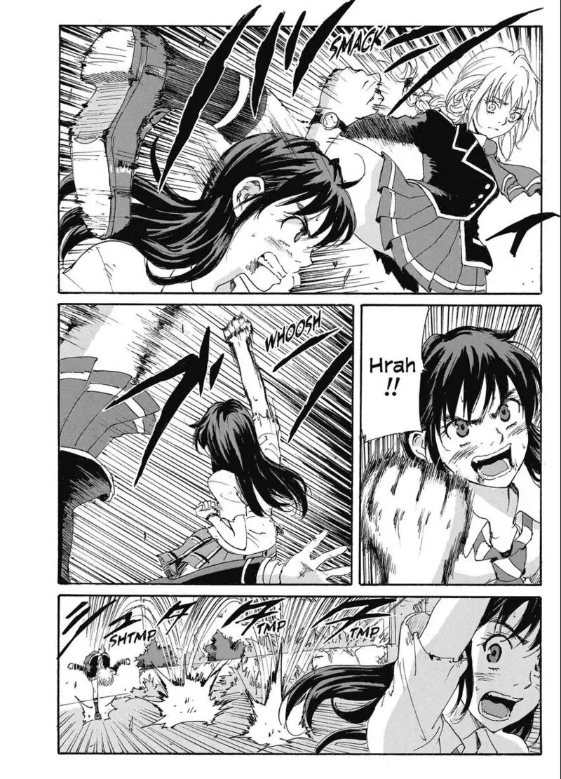 Coppelion 190 18