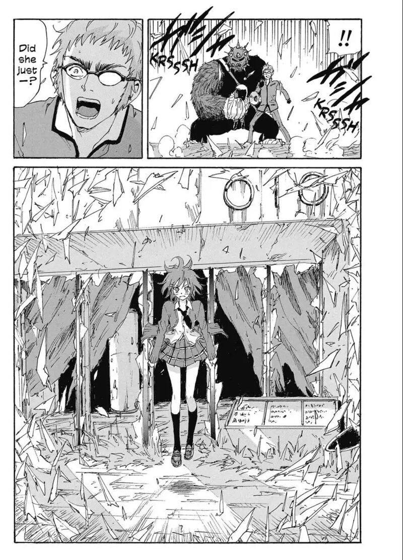 Coppelion 192 29