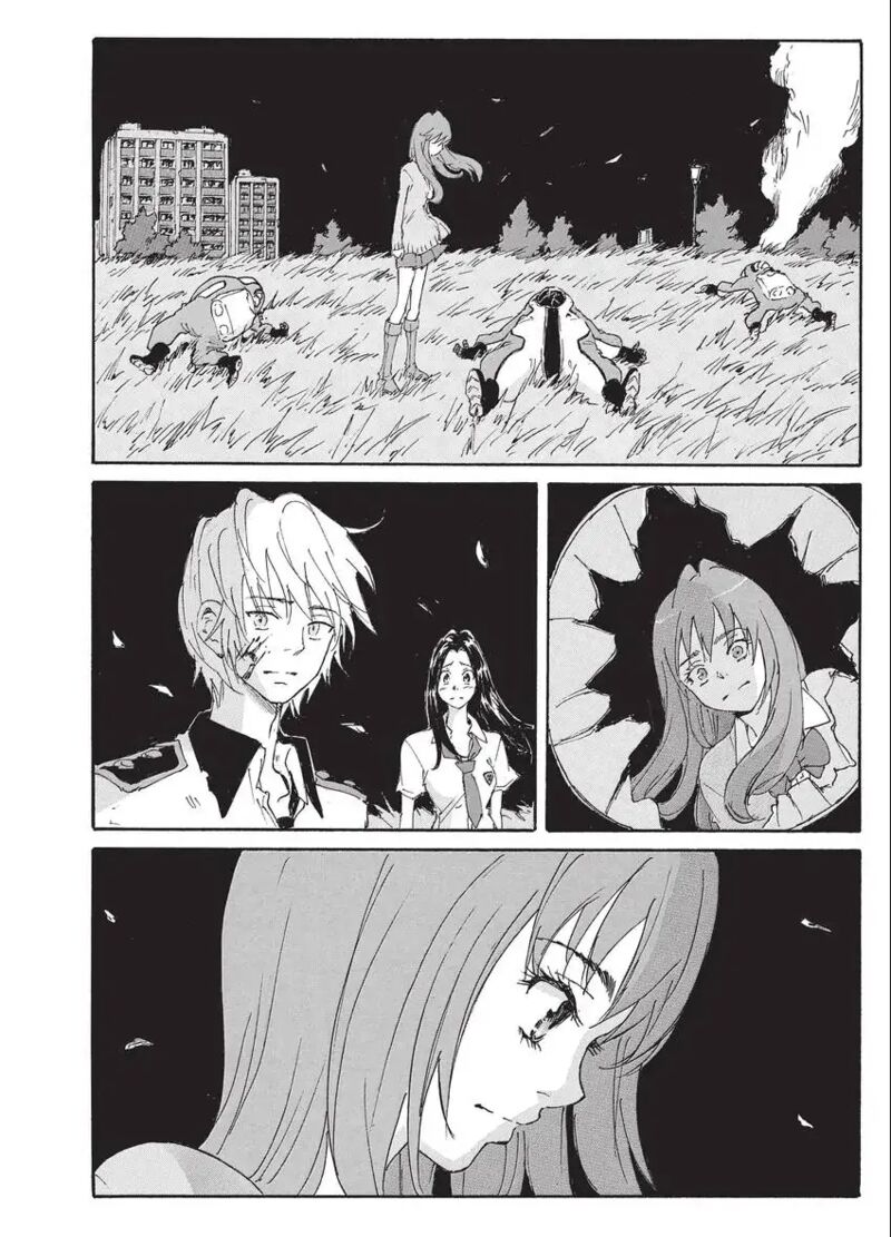 Coppelion 196 32