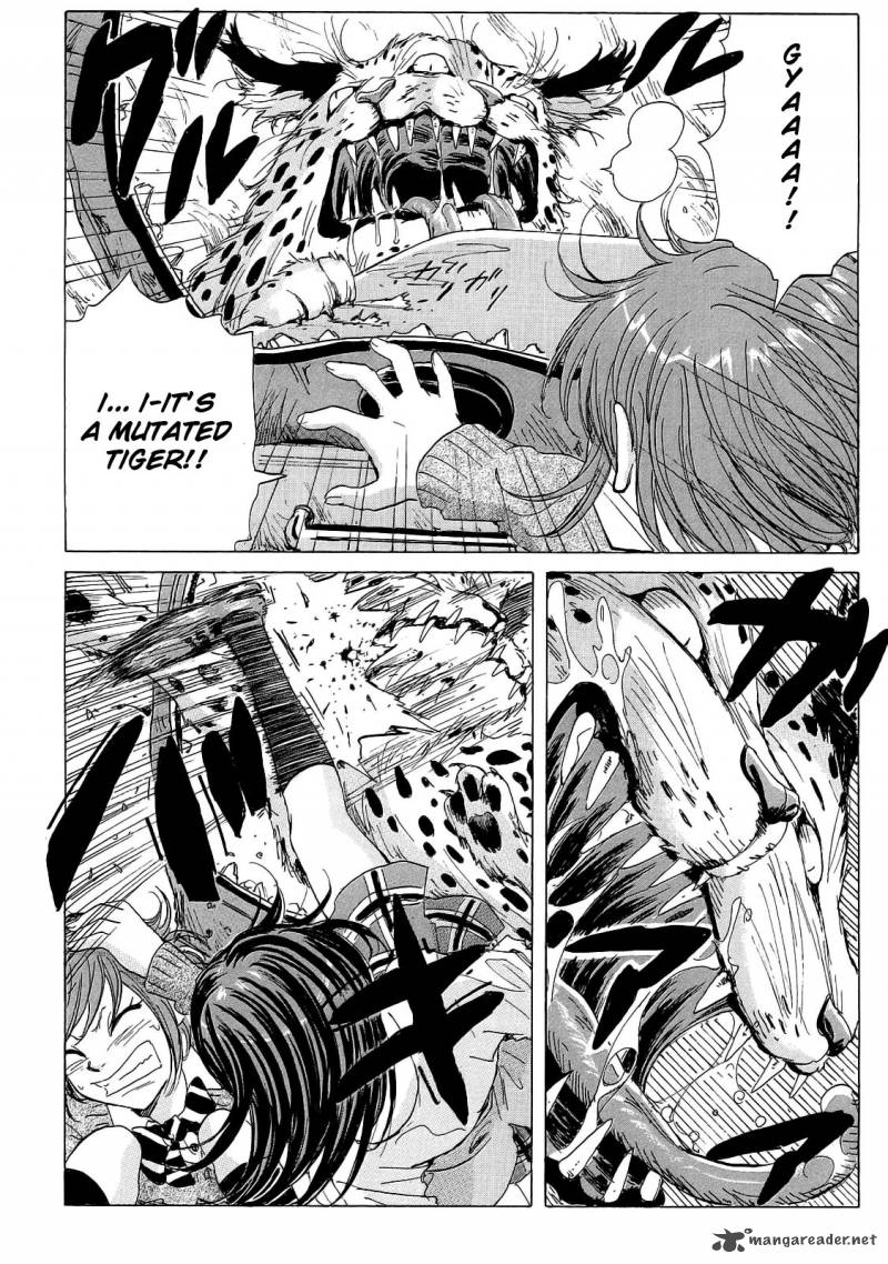 Coppelion 20 10