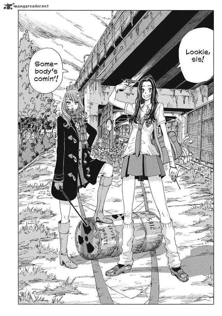 Coppelion 37 2