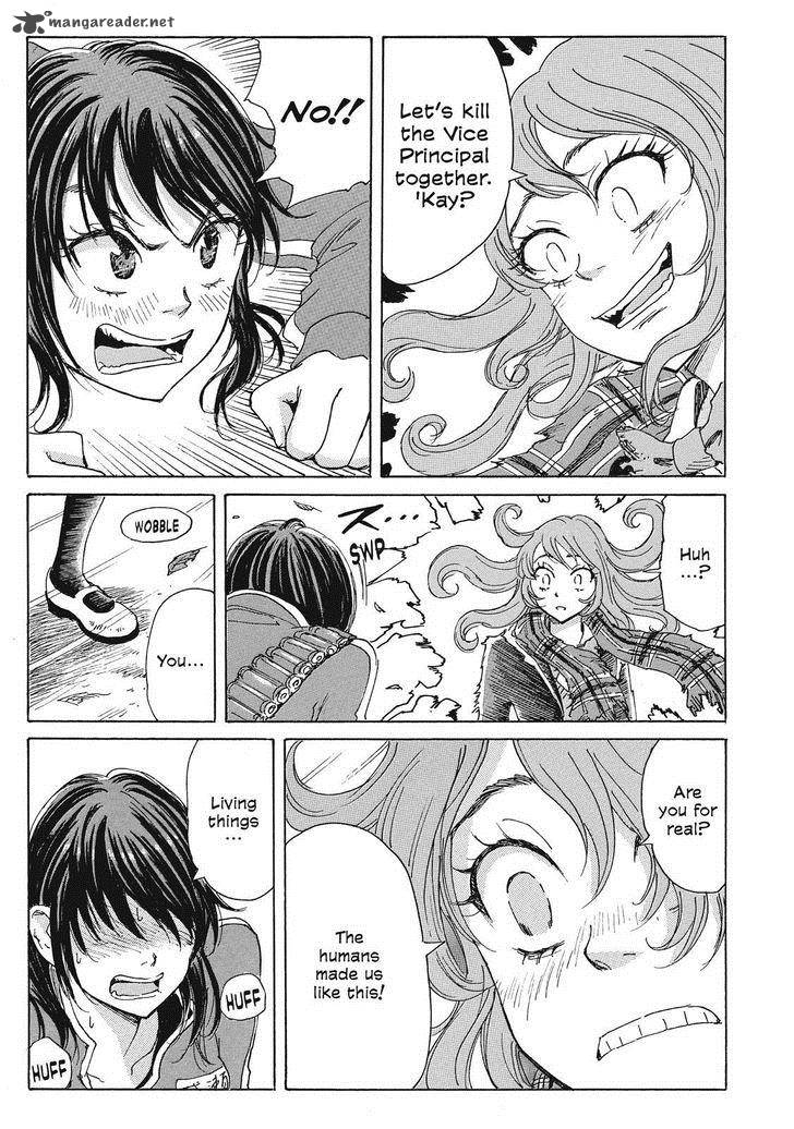 Coppelion 41 13
