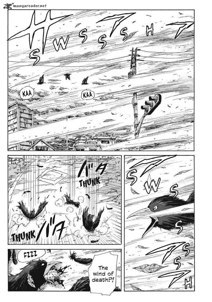 Coppelion 43 3