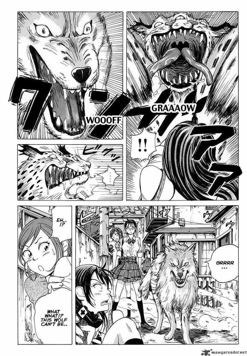 Coppelion 5 16