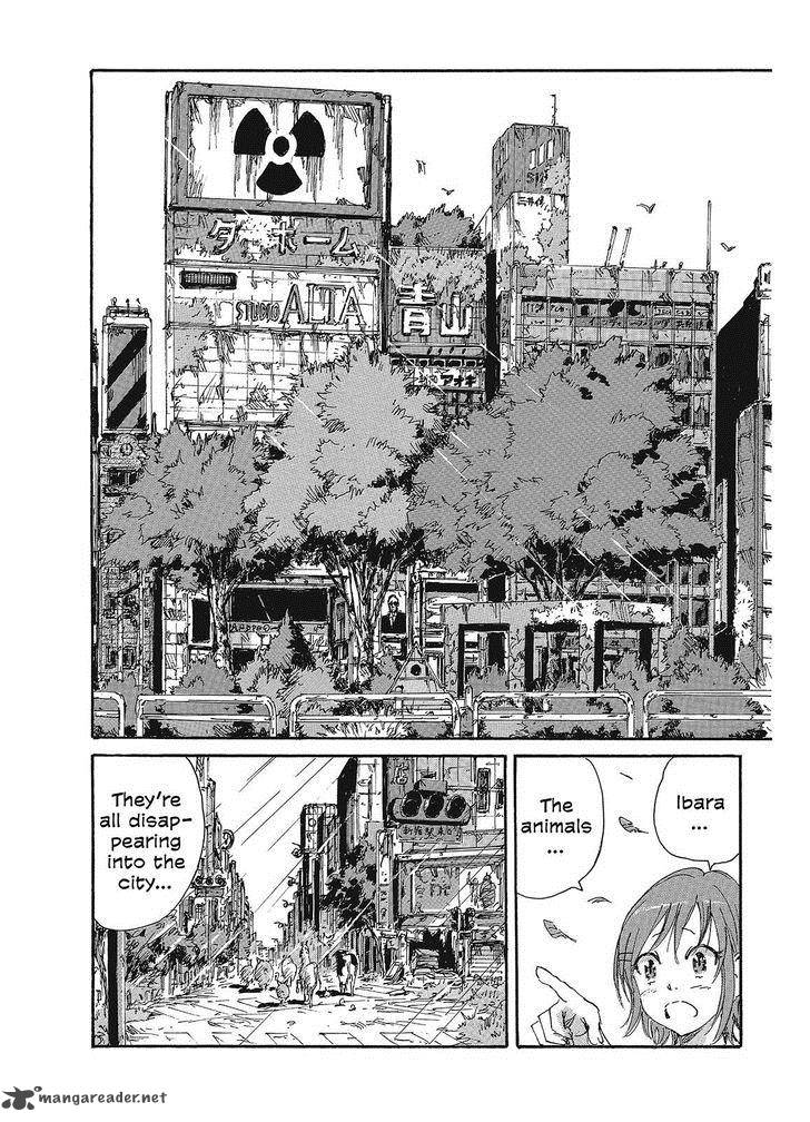 Coppelion 80 11