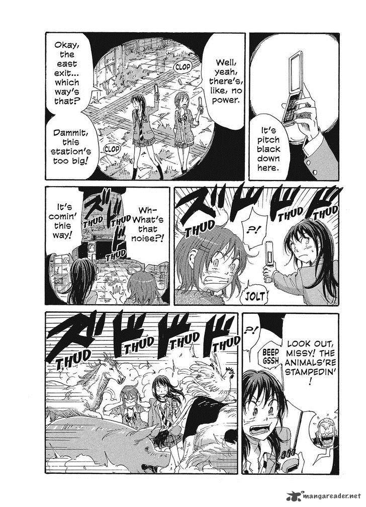 Coppelion 80 8
