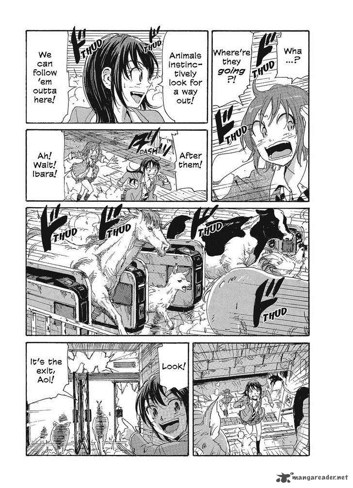 Coppelion 80 9