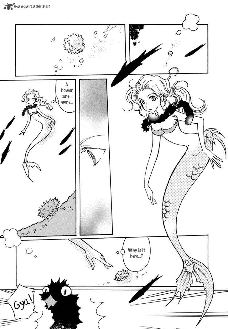 Coral Tenohira No Umi 11 7