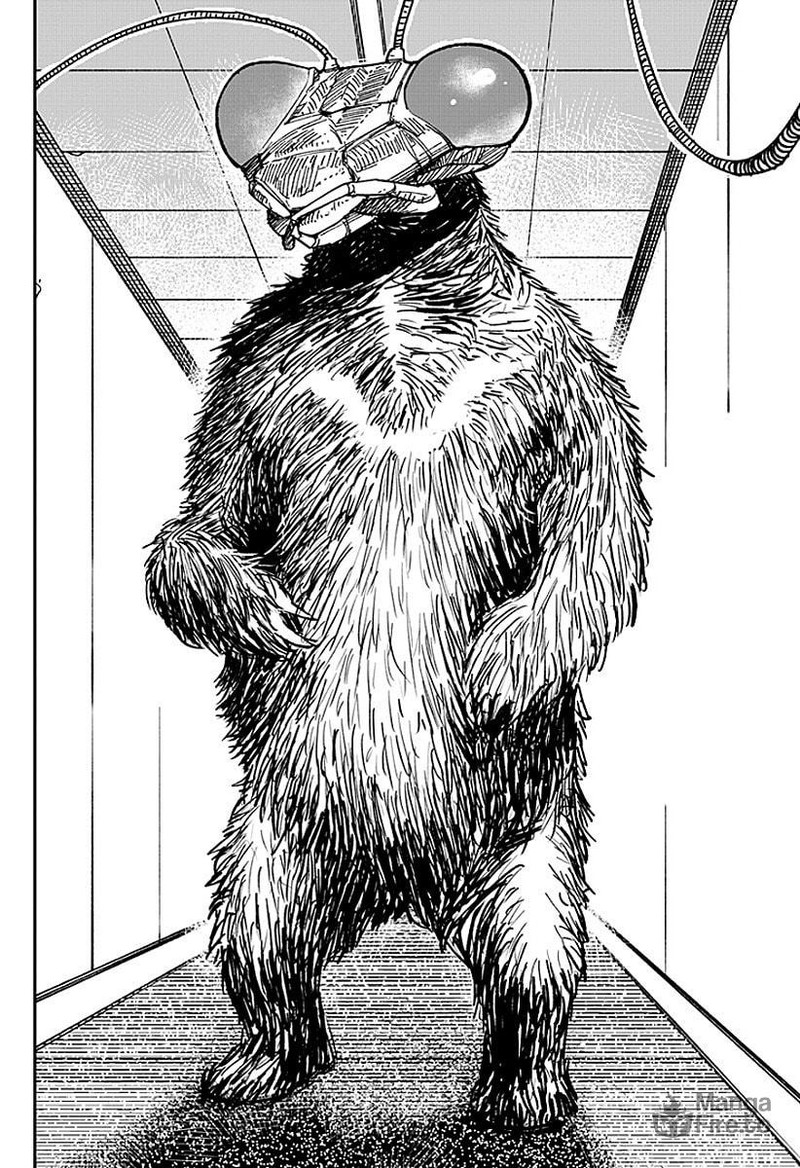 Coronica No Nou 12 6