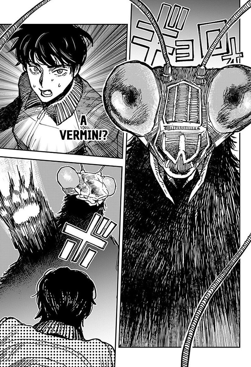 Coronica No Nou 12 7