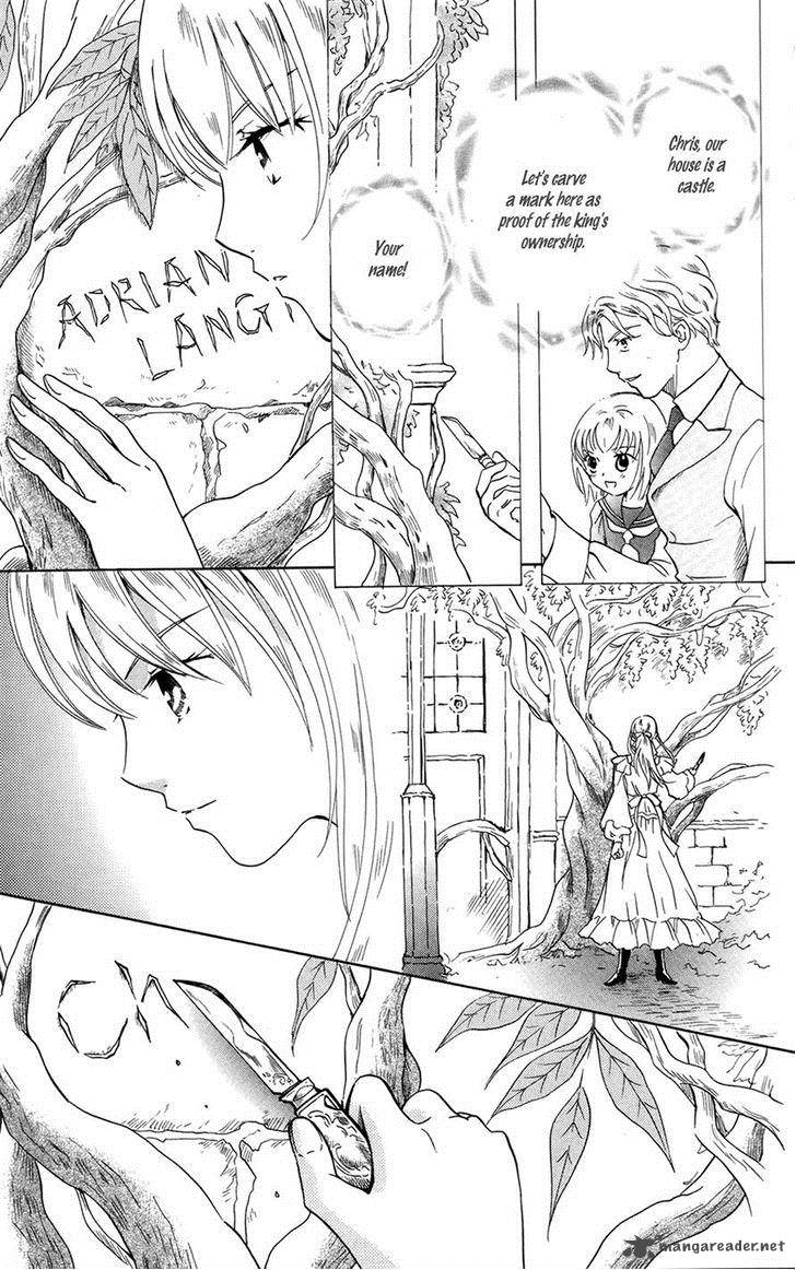 Corset Ni Tsubasa 16 5