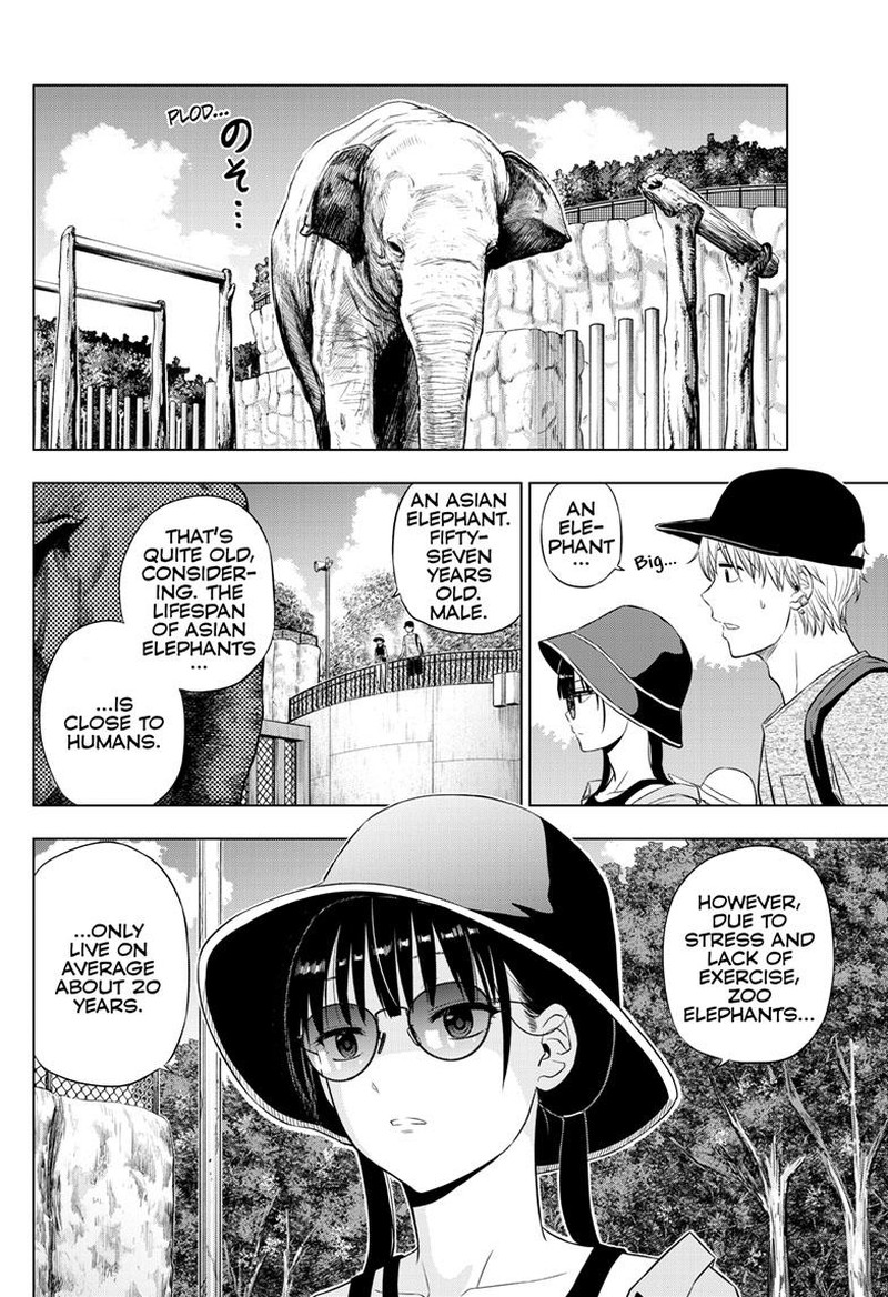 Cosmos Tamura Ryuuhei 21 4