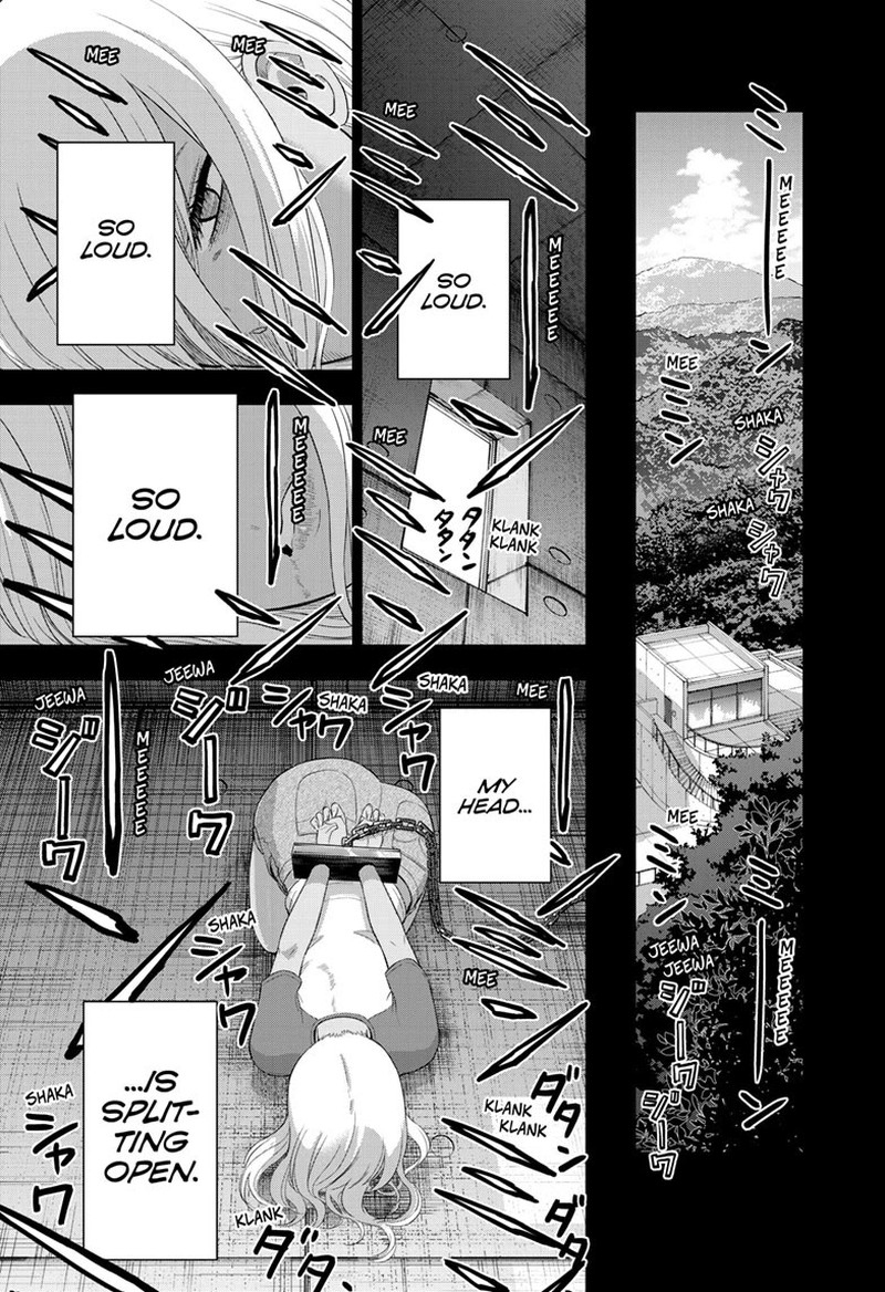 Cosmos Tamura Ryuuhei 30 32