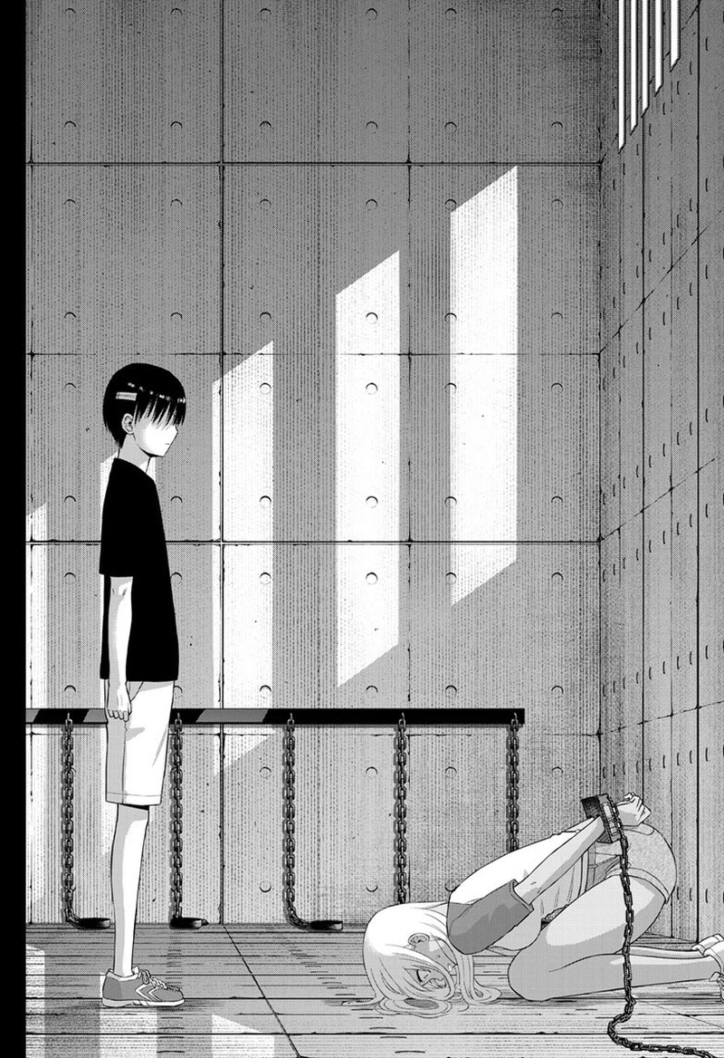 Cosmos Tamura Ryuuhei 30 35