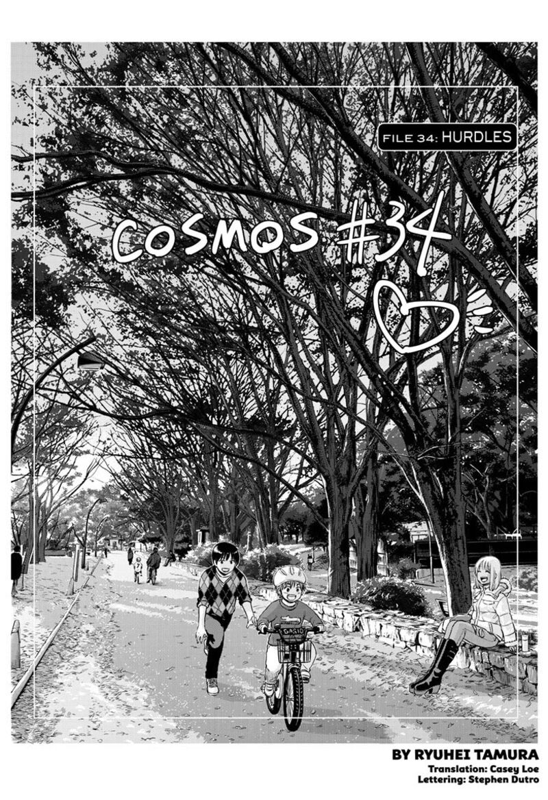 Cosmos Tamura Ryuuhei 34 1